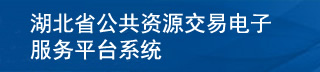 電子服務(wù)平臺(tái)